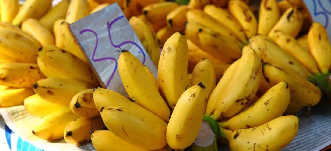Провоз фруктов из тайланда. Бананы мини. Банан Kluay. Манго желтое. Фрукты из Таиланда в самолете.